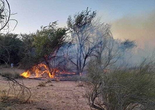 یک قدم مانده تا مهار آتش‌سوزی گسترده در پارک ملی دز دزفول/درصورت ادامه دارد بودن آتش، هواپیمای ایلیوشین به منطقه اعزام می‌شود