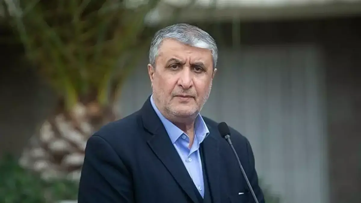 رئیس سازمان انرژی اتمی: مدیرکل آژانس به دنبال جلب رضایت چند کشور خاص است + فیلم