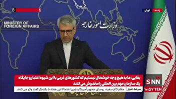 واکنش بقایی به ادعای عجیب فلاند درباره جاسوسی ایران