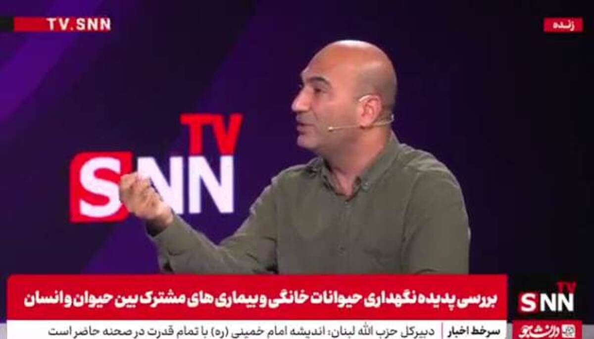 یارانه پنهانی و چالشهای نگهداری سگهای خانگی + فیلم