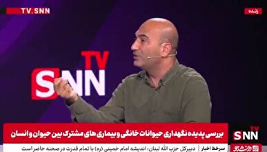 یارانه پنهانی و چالش‌های نگهداری سگ‌های خانگی + فیلم