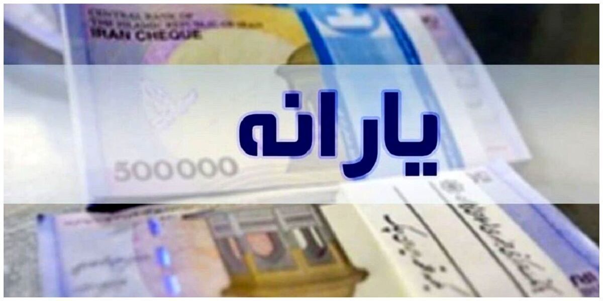 امکان حذف عضو مجرد بالای ۱۸ سال از یارانه نقدی خانوار فراهم شد + فیلم آموزشی