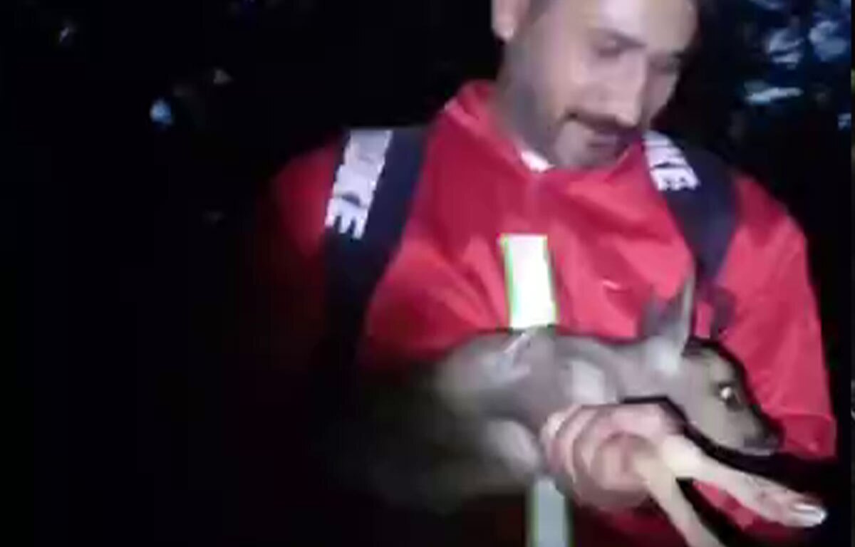 نجات بره مرال از دل آتش در پارک ملی گلستان