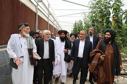 خراسان جنوبی؛ دروازه طلایی تجارت ایران و افغانستان با مرز رسمی ماهیرود
