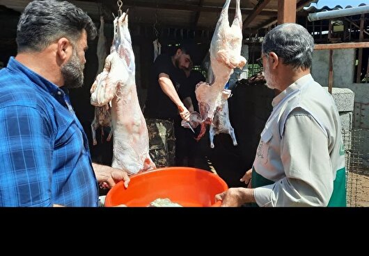 توزیع ۱۵ تُن گوشت قربانی بین نیازمندان ایلامی