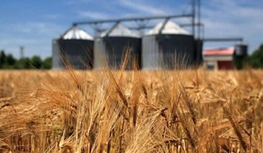 خروج گندم از استان قزوین ممنوع است