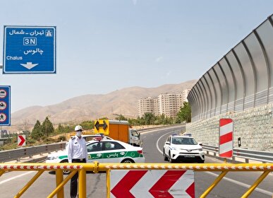 بسته شدن جاده چالوس به دلیل عبور احشام از امشب تا فردا
