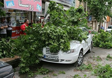 احتمال وقوع طوفان تندری در تهران