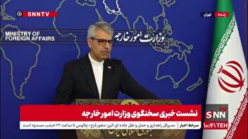 بقایی: تعرض به کشتی آزادی نوعی دزدی دریایی محسوب می‌شود