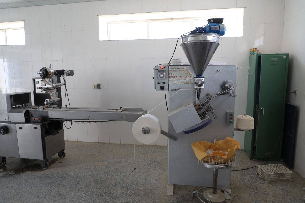 سیستان مستعد کشت و درآمدزایی از گیاه دارویی به&zwnj;لیمو