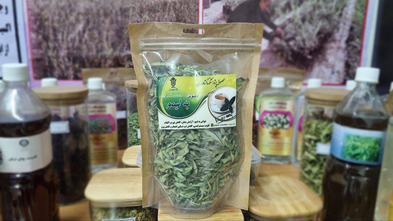 سیستان مستعد کشت و درآمدزایی از گیاه دارویی به&zwnj;لیمو