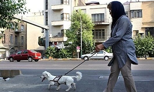 ممنوعیت سگ‌گردانی در اماکن عمومی استان فارس اعلام شد