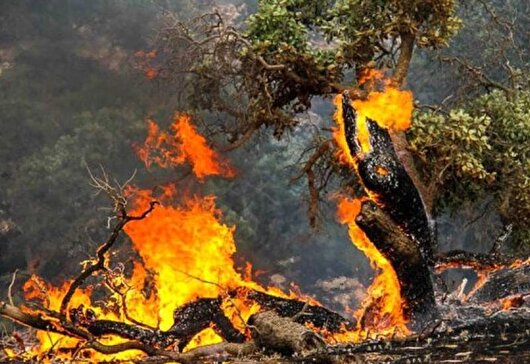 مهار چهار فقره آتش‌سوزی در جنگل‌ها و ارتفاعات بویراحمد