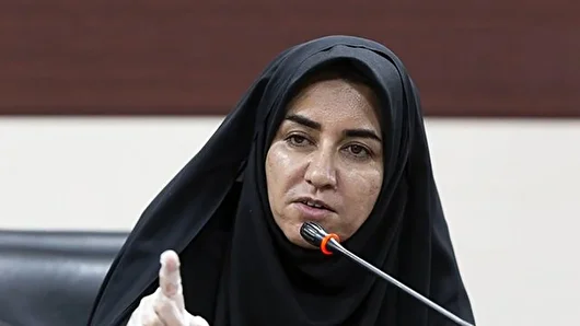 سارا فلاحی عضو هیأت تحقیق و تفحص از سازمان محیط زیست شد