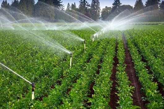 ۹۲ طرح کشاورزی در کردستان آماده بهره‌برداری است