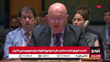 نماینده روسیه: بیشترین بازرسی ها از ایران انجام شده / حملات اسرائیل با حمایت فرانسه بوده