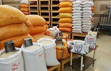 پیش بینی تولید ۲ میلیون و ۷۰۰ هزارتن برنج در کشور
