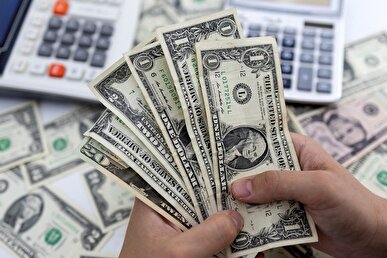 واردکنندگان ۱۲۰ میلیون دلار خریداری کردند/ثبات نرخ ارز در بازار ارز تجاری