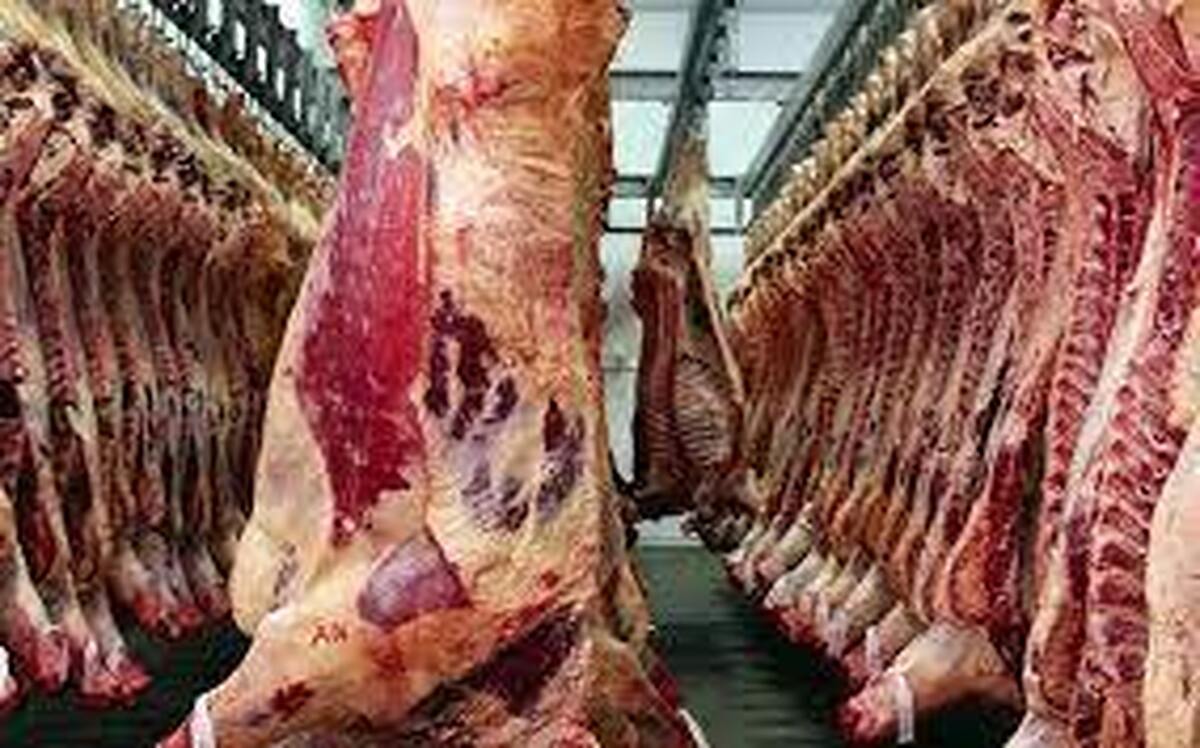 کاهش قیمت گوشت طی یک هفته گذشته/ ذخایر گوشت واردتی و تولیدی کشور بالا است