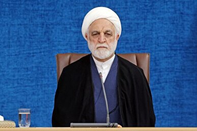 محسنی اژه‌ای: رژیم صهیونیستی عبرت تاریخ خواهد شد + فیلم