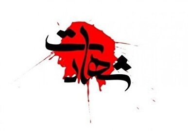 در حمله ریزپرنده‌ها در قم یک جوان ۱۶ ساله به شهادت رسید