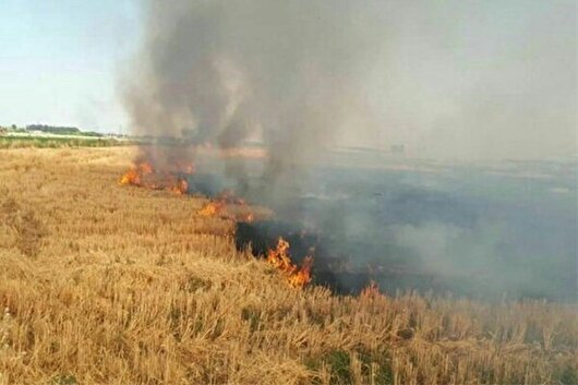 ۶ متخلف زیست محیطی در پارس‌آباد به مراجع قضایی معرفی شدند