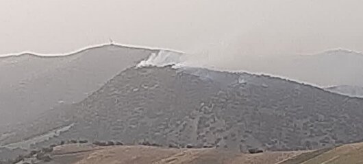 آتش‌سوزی ناشی از نزاع ۲ دامدار، ۱۰۰ هکتار از جنگل‌های بلوط سلسله را سوزاند