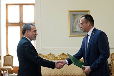 نماینده جدید فائو در ایران، اعتبارنامه خود را تقدیم وزیر امور خارجه کرد