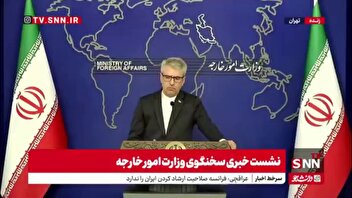 بقایی: دولت فرانسه هرچه سریعتر تمهیدات لازم برای آزادی خانم اسفندیاری را اتخاذ کند