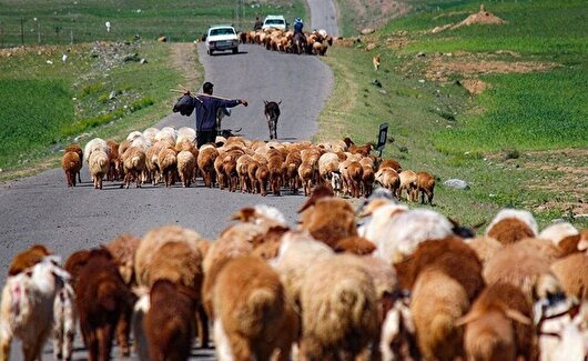 آغاز کوچ بهاره عشایر اردبیل