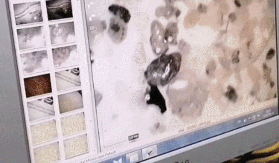 نگاهی به  کاوشگر خلیج فارس/ کشتی پایشگر تخصصی و علمی اقیانوس و دریاها در اختیار دانشمندان ایرانی