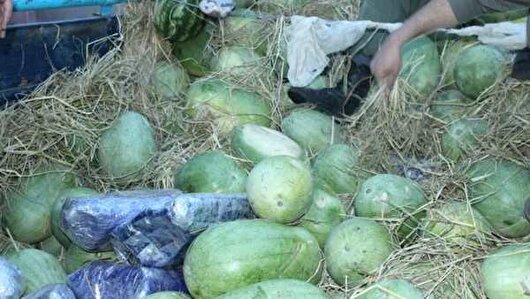 کشف ۲۰۰ کیلو تریاک در پوشش بار هندوانه در نائین