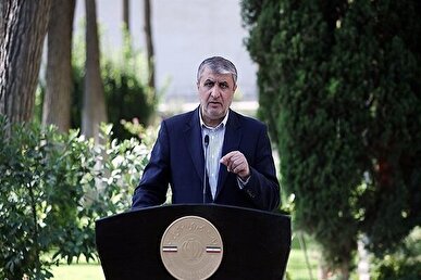اسلامی: صنعت هستهای و غنی سازی خط قرمز ایران است و به طرف مذاکره کننده با شفافیت کامل منعکس شده است + فیلم