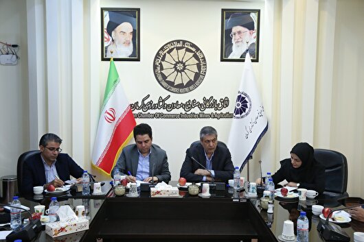 مهاجرت نخبگان از کرمان باید آسیب شناسی شود/ کرمان محیط جذابی برای نخبگان نیست
