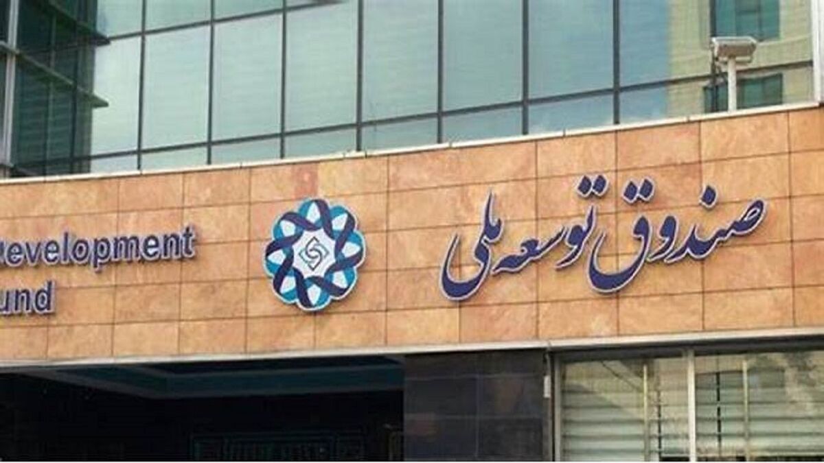 صندوق توسعه ملی ۲۰۰ میلیون دلار برای صنایع تکمیلی پتروشیمی اختصاص داد