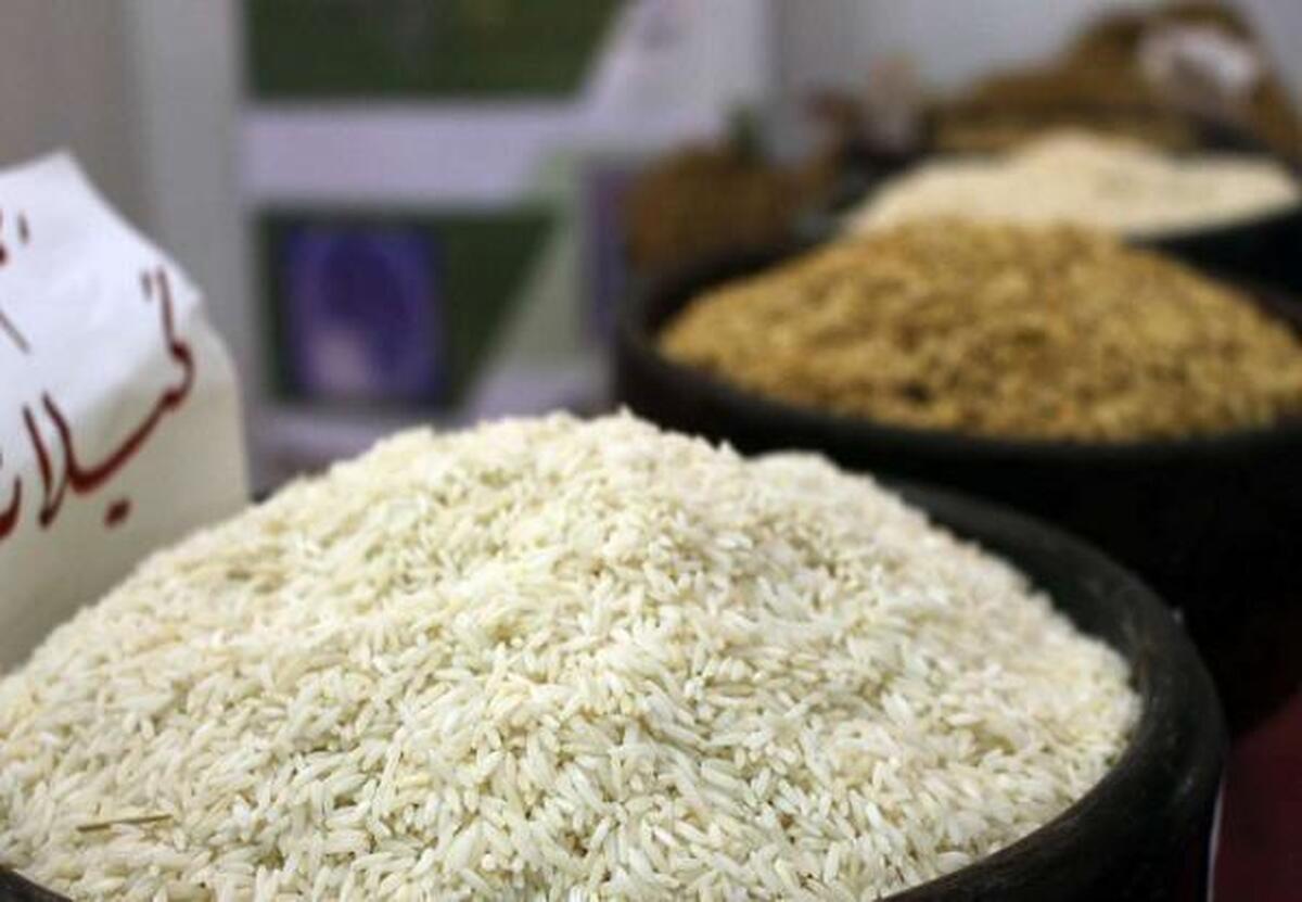 تولید برنج به ۲ میلیون و ۷۰۰ هزارتن میرسد