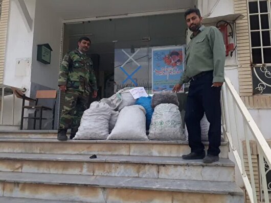 امسال ۹۰۰ کیلو قارچ ترافل در گلستان کشف شد