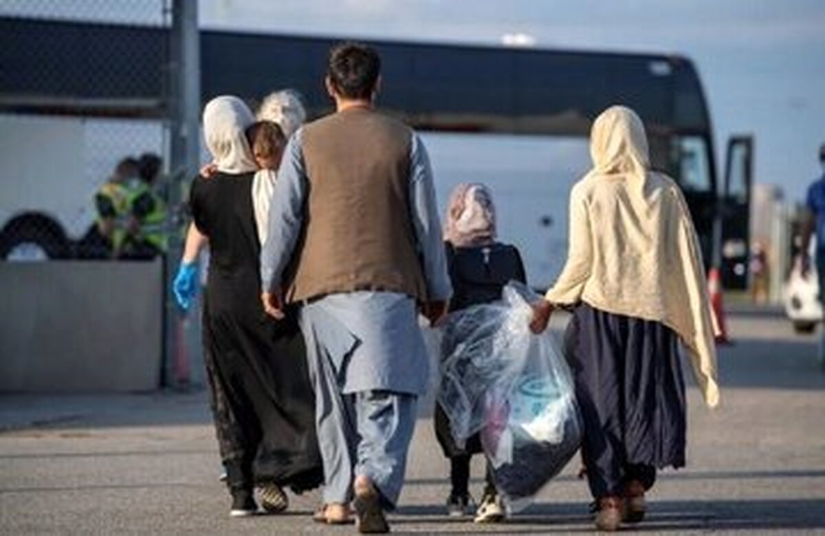 پورجمشیدیان: اتباع غیر مجاز به کشورشان بازگردانده خواهندشد + فیلم