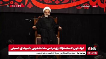 حجت الاسلام پناهیان: دسته عزاداری در محرم تا ظهر عاشورا دسته یاری امام حسین و نصرت است/ جهان از محبوبیت رهبر انقلاب خبر دارد
