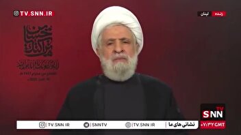 شیخ نعیم قاسم: درود بر ملت ایران که مانع تحقق اهداف اسرائیل شدند