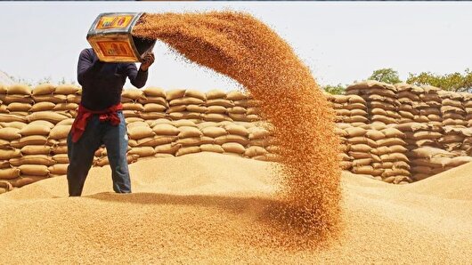 گلستان از ارکان امنیت غذایی کشور است