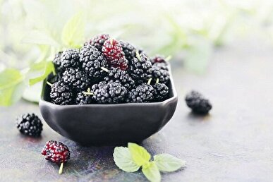 شاه توت؛ میوه‌ای ضد سرطان