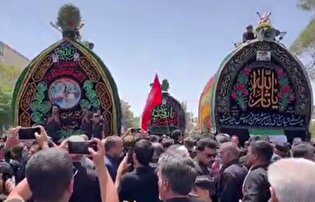 هفت نخل، هفت روایت از عشق؛ فردوس میزبان باشکوه‌ترین مراسم نخل‌گردانی کشور