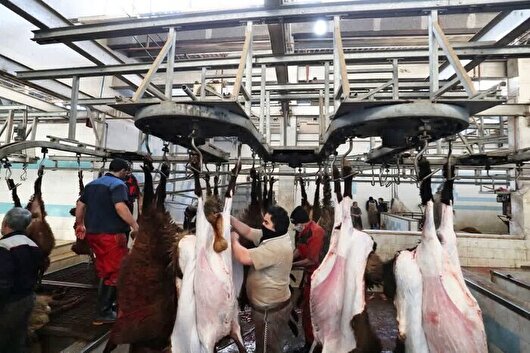 مقابله با کشتار غیر مجاز دام نیازمند عزم جدی است