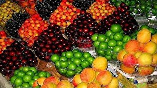 تولید میوه و صیفی مازاد بر نیاز کشور