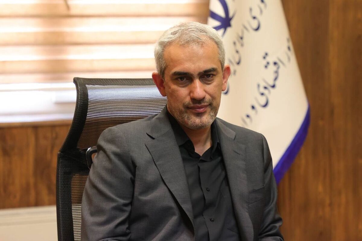 مدنی زاده: اقتصاد کشور باوجود حملات صهیونیستی پابرجاست / سازمانهای تابعه وزارت اقتصاد مشغول فعالیت هستند