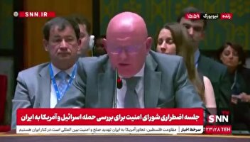 نماینده روسیه: آمریکا نشان داد که برای حفظ سلطه جهانی خودش حاضر به ارتکاب هرگونه جرم و جنایتی است