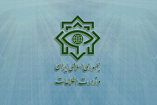 کشف محموله ریز پرنده و بی سیم در دو شهرستان پارسیان و قشم
