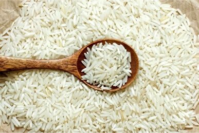 کاهش قیمت برنج با تغییر رویکرد وزارت جهاد کشاورزی