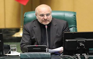 امیدوارم با همراهی دولت بتوانیم مشکلات مردم در حوزه کالا‌های اساسی و امنیت غذایی را حل و فصل کنیم